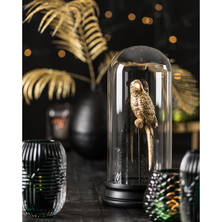 Light & Living Parrot Ornament in Glass Bell Jar – Excess Stock