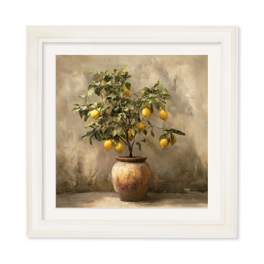 Mediterranean Lemon Tree – Cream Hurstwood Square Frame