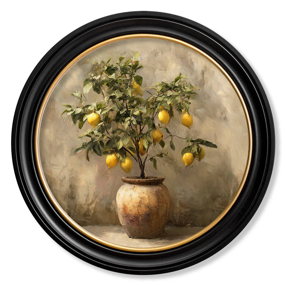 Mediterranean Lemon Tree – Oxford Round Frame