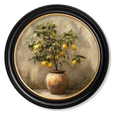 Mediterranean Lemon Tree – Oxford Round Frame