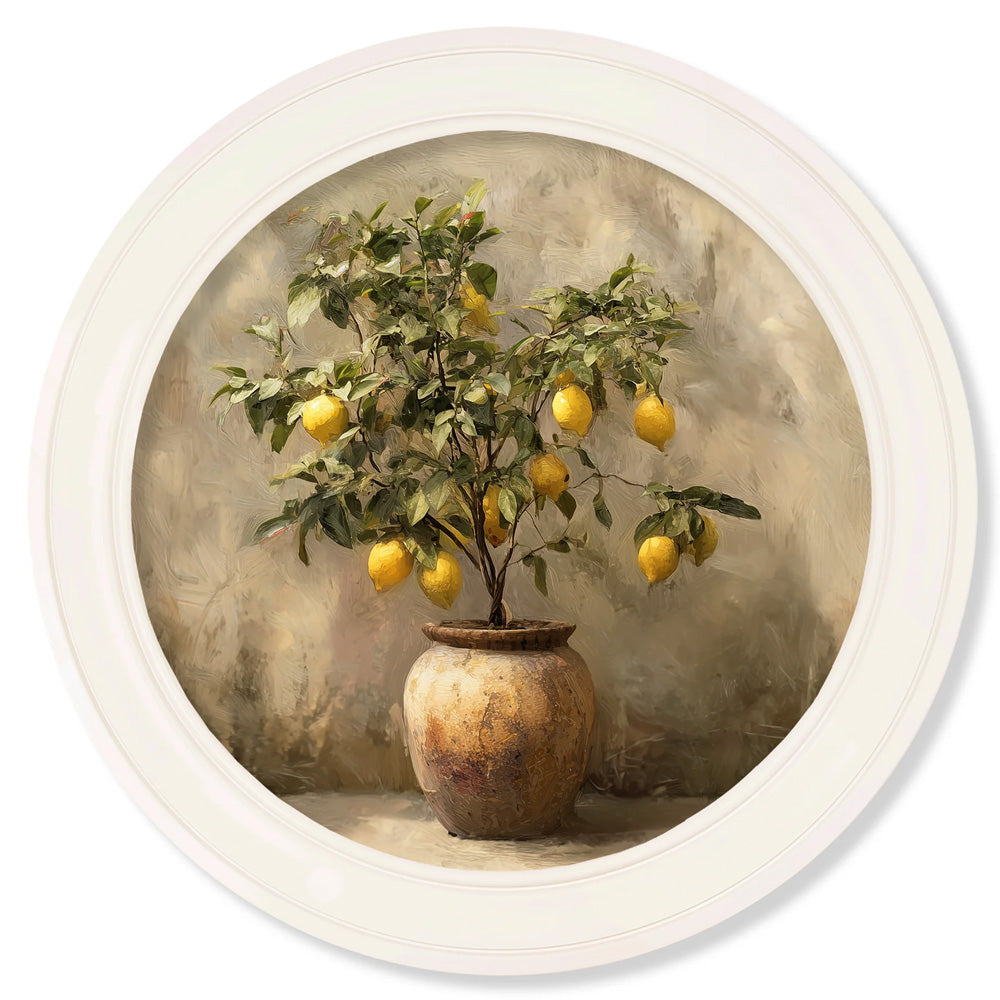 Mediterranean Lemon Tree – Oxford Strong White Round Frame
