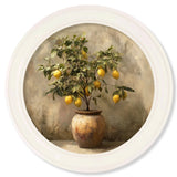 Mediterranean Lemon Tree – Oxford Strong White Round Frame