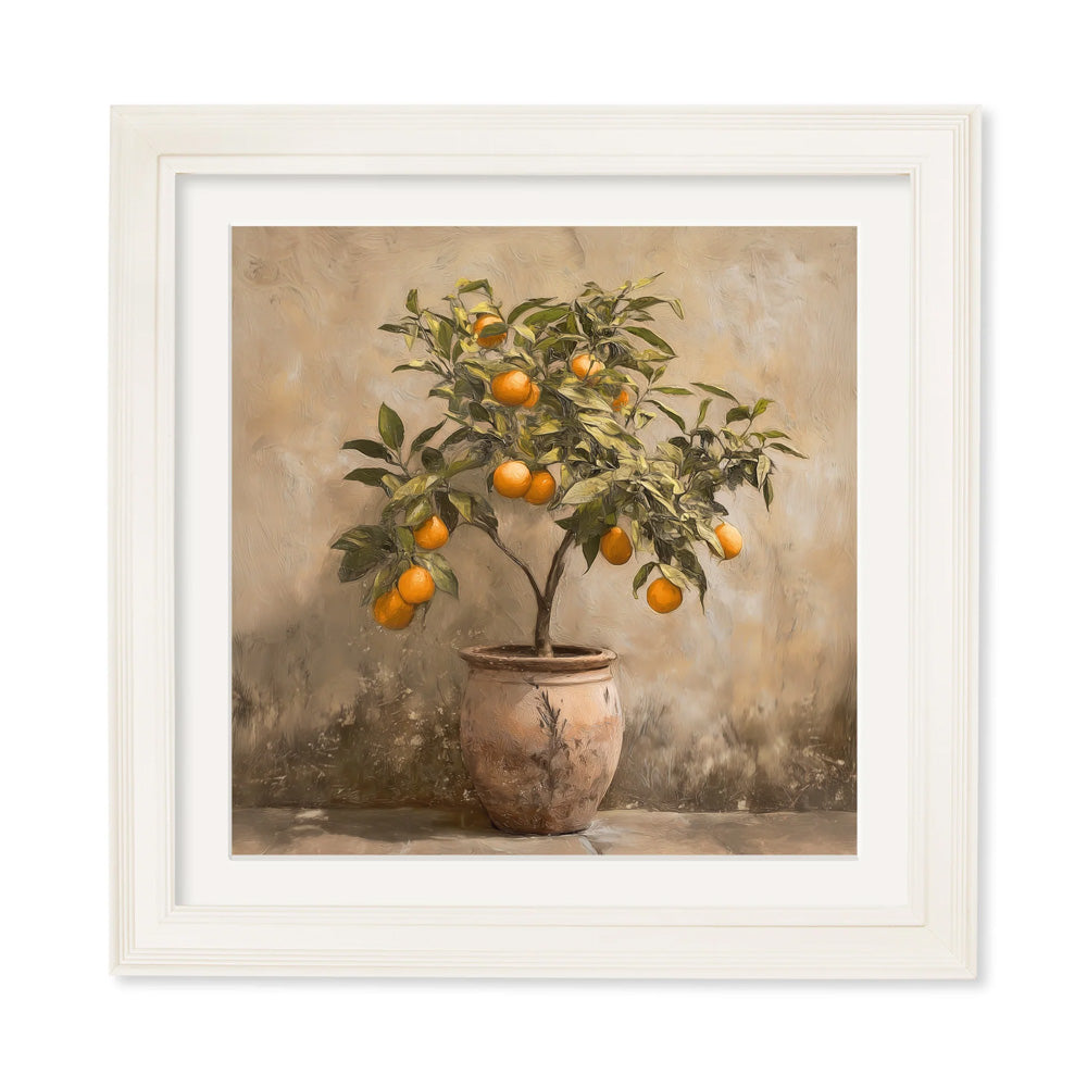 Mediterranean Orange Tree – Cream Hurstwood Square Frame