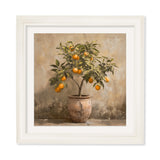 Mediterranean Orange Tree – Cream Hurstwood Square Frame