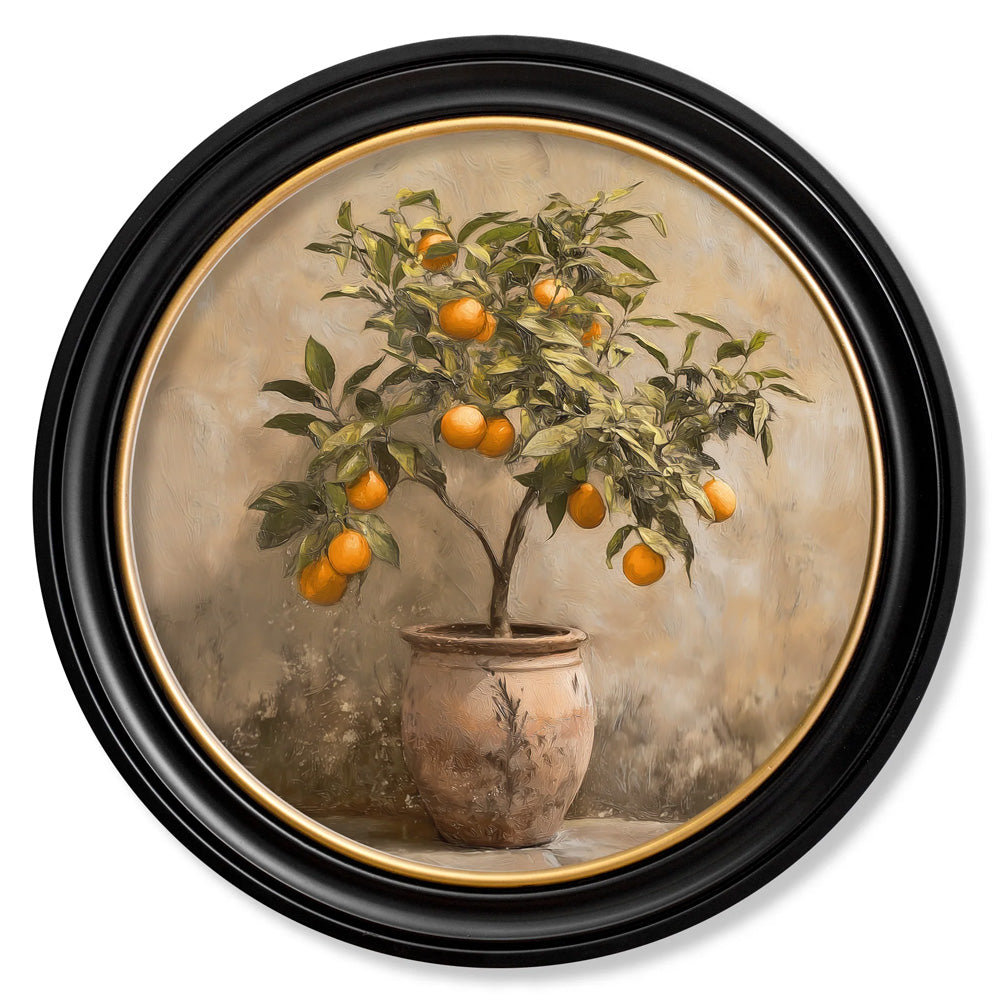 Mediterranean Orange Tree – Oxford Round Frame