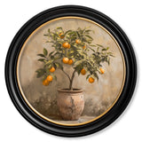 Mediterranean Orange Tree – Oxford Round Frame
