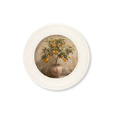 Mediterranean Orange Tree – Oxford Strong White Round Frame