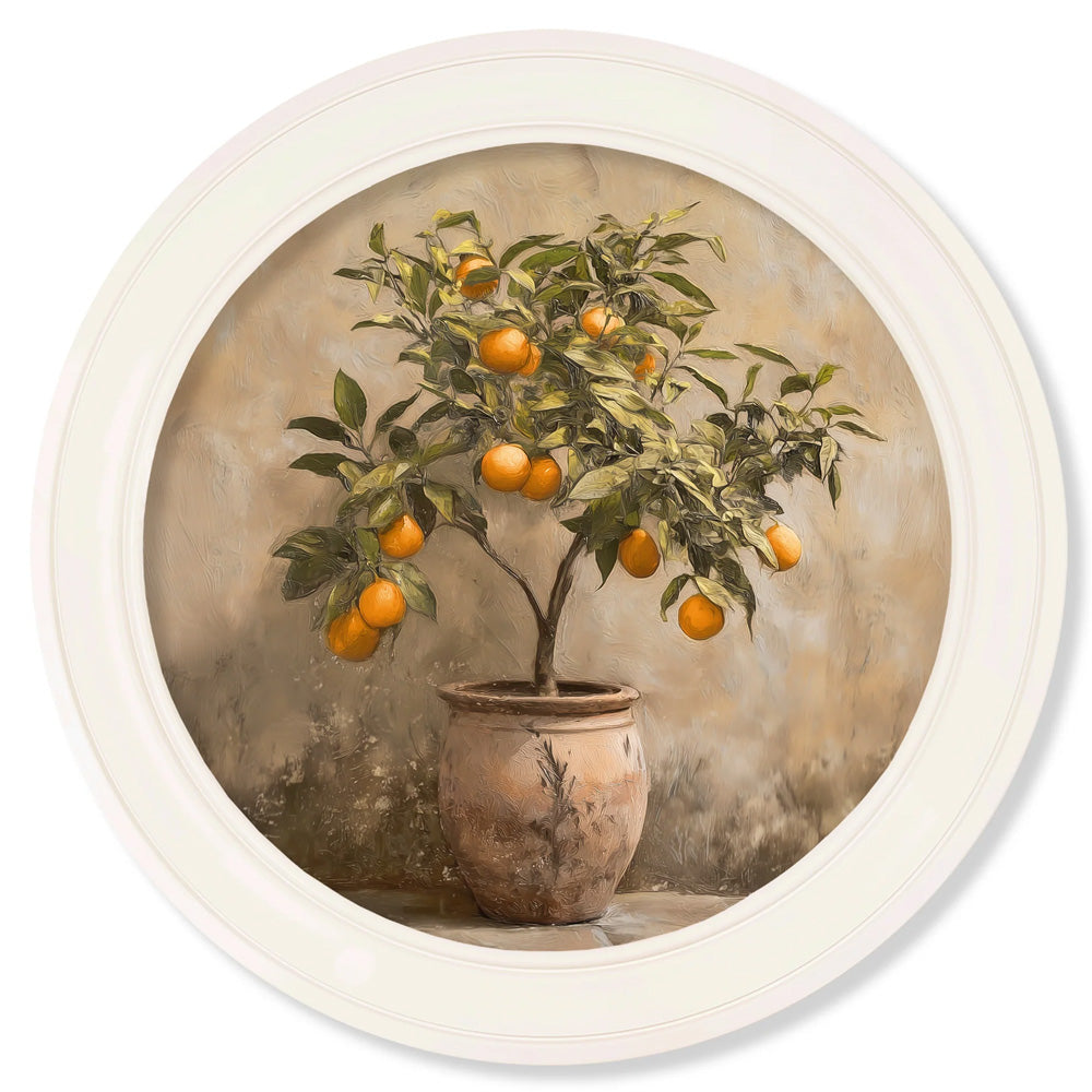 Mediterranean Orange Tree – Oxford Strong White Round Frame