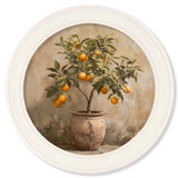Mediterranean Orange Tree – Oxford Strong White Round Frame