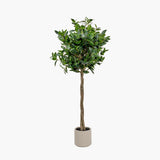 Pacific Lifestyle Faux Bay Tree in Pot – Medium