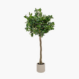 Pacific Lifestyle Faux Bay Tree in Pot – Medium