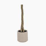 Pacific Lifestyle Faux Bay Tree in Pot – Medium