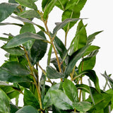 Pacific Lifestyle Faux Bay Tree in Pot – Medium
