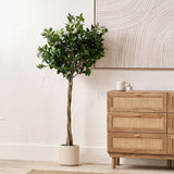 Pacific Lifestyle Faux Bay Tree in Pot – Medium