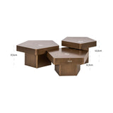 Richmond Interiors Hexa Coffee Table – Set of 3