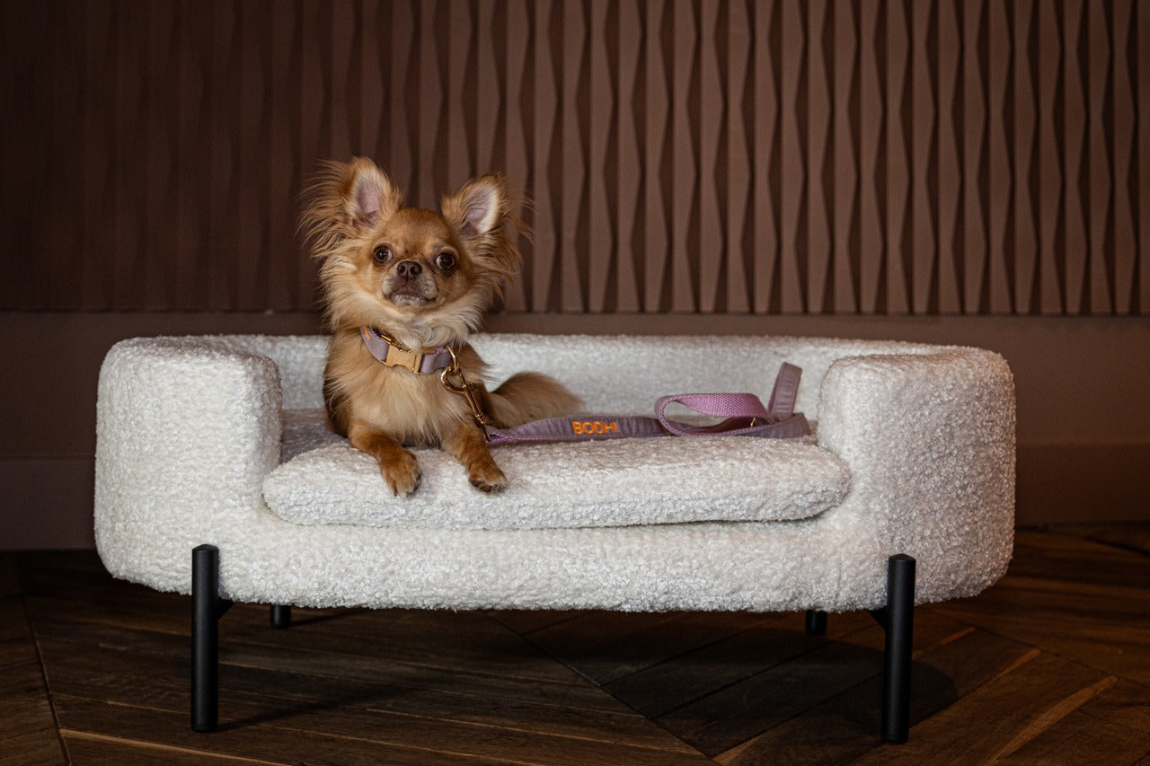Richmond Interiors Dolly Pet Bed – White Sheep