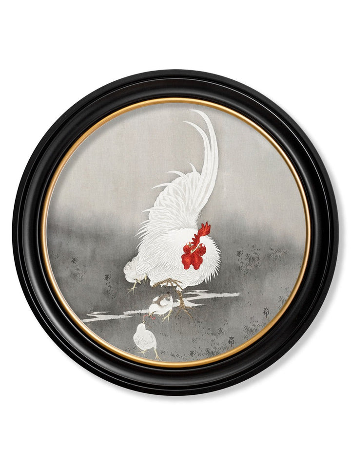 Roosters by Ohara Koson – Oxford Round Framed Print