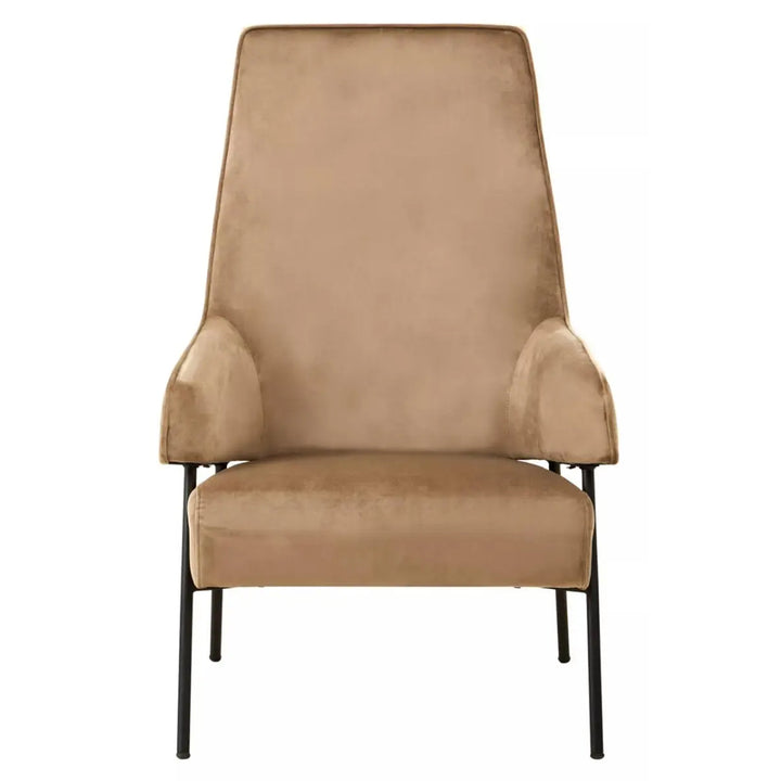 Elara Chair – Mink Velvet