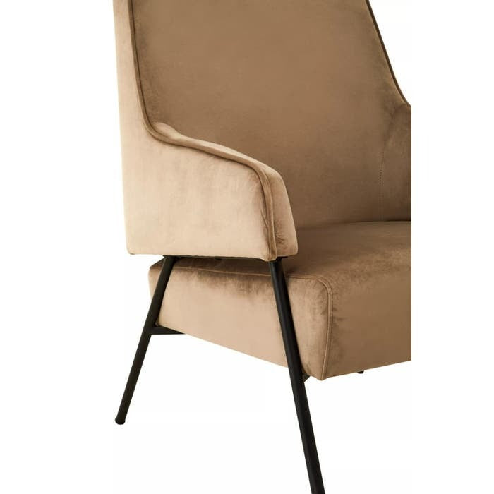 Elara Chair – Mink Velvet