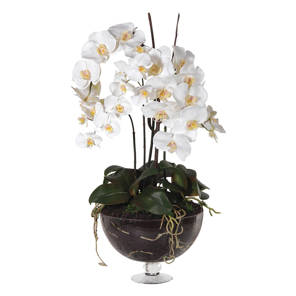 Artificial Orchid in Glass Footed Bowl - Small