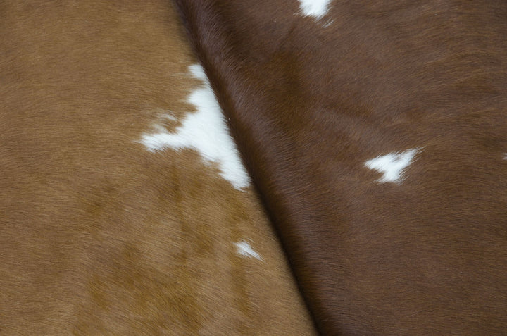 Ryker Cowhide in Brown and White
