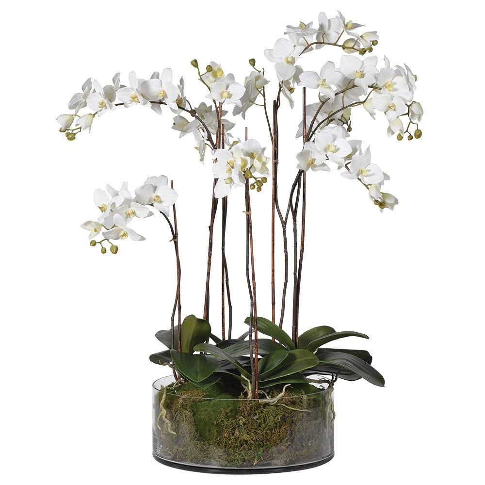 Takayama Huge Orchid Ornament with White Flowers