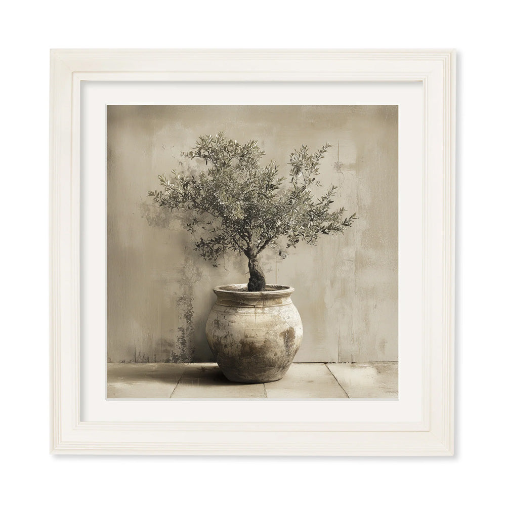 The Olive Tree - Cream Hurstwood Square Frame