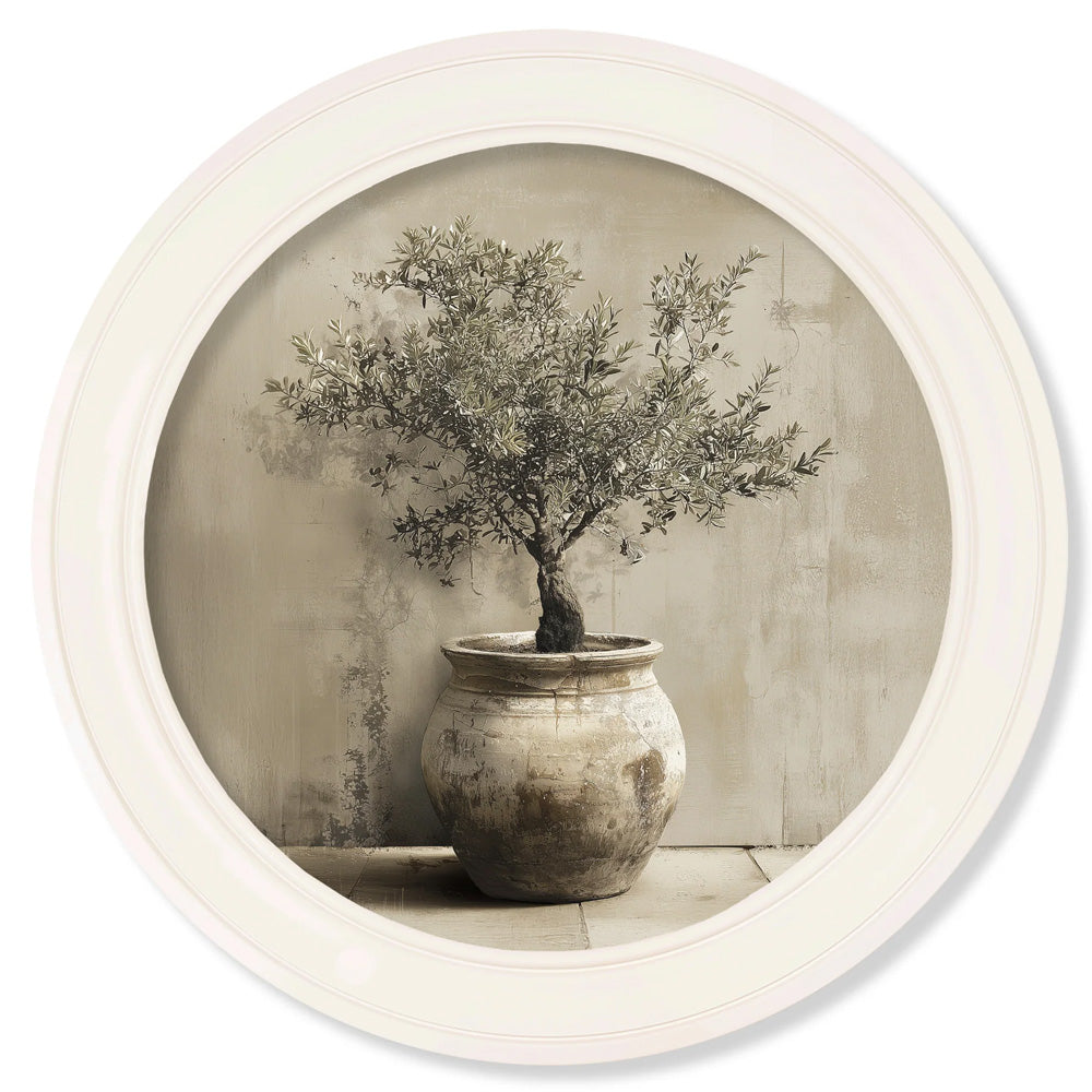 The Olive Tree - Oxford Strong White Round Frame
