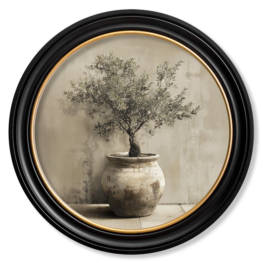 The Olive Tree – Oxford Round Frame
