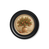 The Pomegranate Tree – Oxford Round Frame