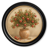 The Pomegranate Tree – Oxford Round Frame