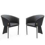 Tommy Franks Felipo Dining Chairs – Set of 2 – Mustang Black
