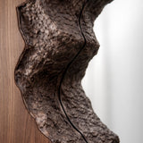Tommy Franks Forest Mirror