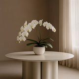 Tommy Franks Moon Coffee Table – Matte Beige