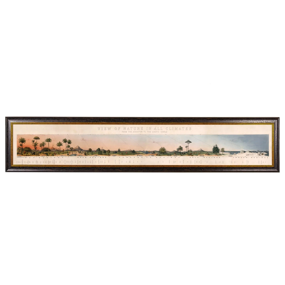 View of Nature in all Climates - From the Equator to the Arctic Circle – Oxford Framed Print