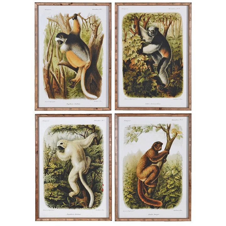 Wild Lemur Wall Art – Set of 4