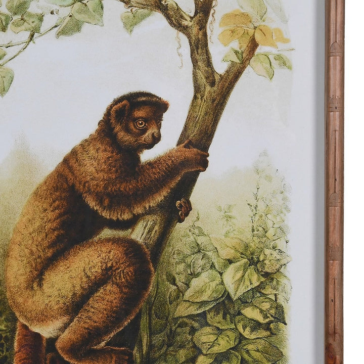 Wild Lemur Wall Art – Set of 4