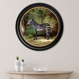 Zebra by George Stubbs – Oxford Round Framed Print