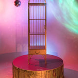 Bold Monkey Unlock Me Cabinet