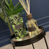 Huge Bonsis Home Reed Diffuser with Citrus Verbena Fragrance – Open Box Return