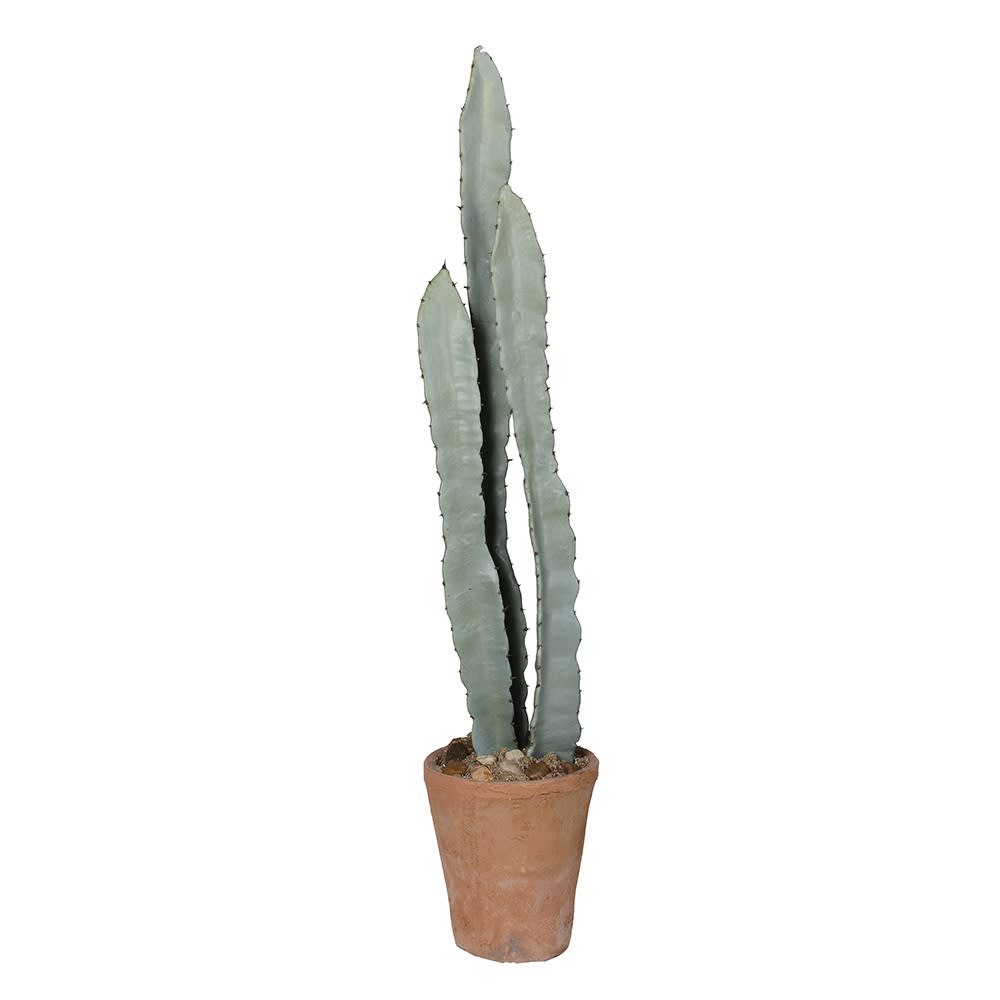 Desina Cactus Ornament in Terracotta Pot
