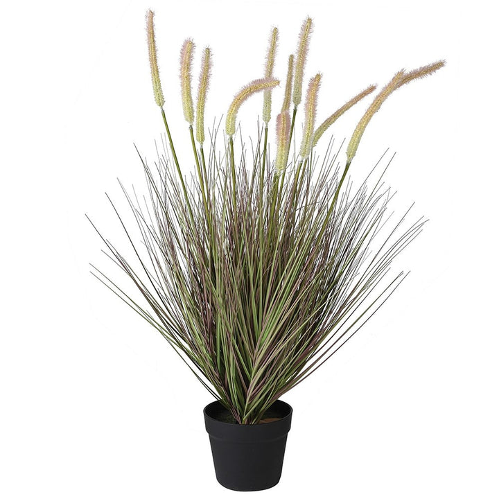 Enara Planter in Pot with Delicate Cattail