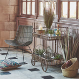 Enara Planter in Pot with Delicate Cattail – Excess Stock