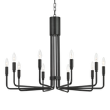 Hudson Valley Lighting Brigitte Large Pendant Light in Black Steel