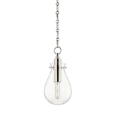 Hudson Valley Lighting Ivy Small Pendant Light with Steel