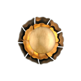 Hudson Valley Lighting Magic Garden Wall Sconce with Hand-Crafted Iron