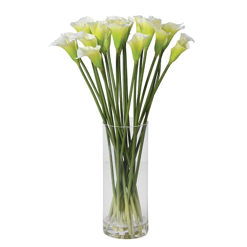 Huge Bright White Calla Lilies in Glass Column Vase