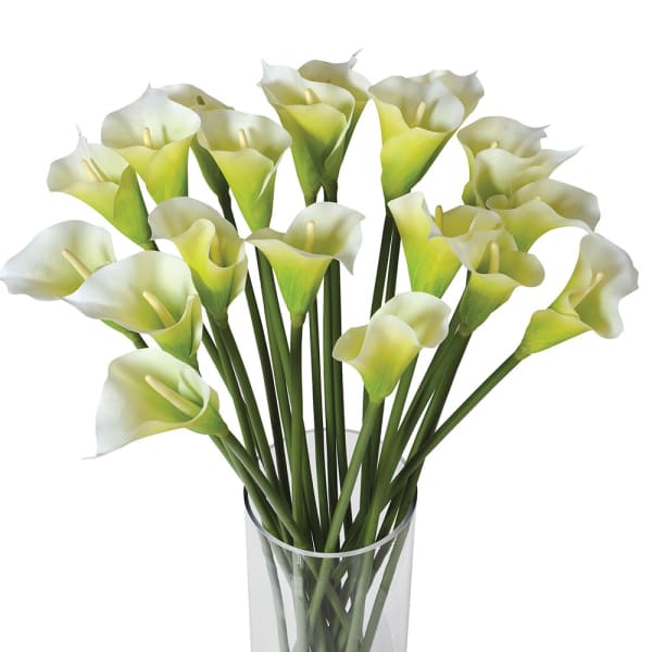 Huge Bright White Calla Lilies in Glass Column Vase
