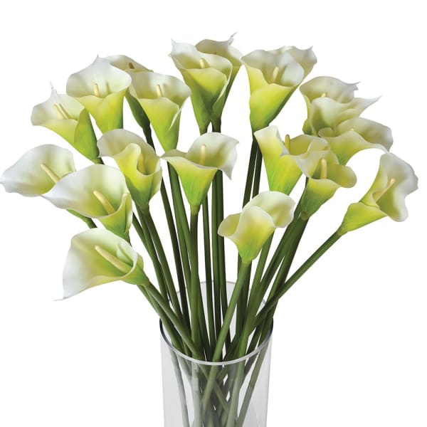 Huge Bright White Calla Lilies in Glass Column Vase Shropshire Design