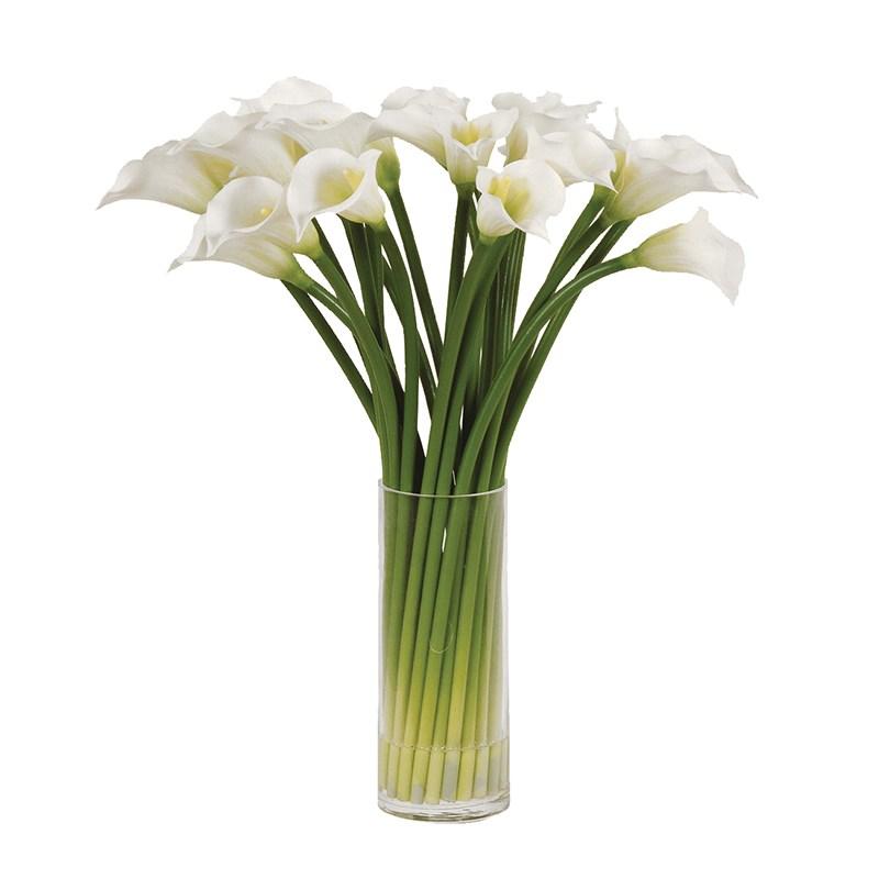 Large White Calla Lilies in Round Glass Column Vase